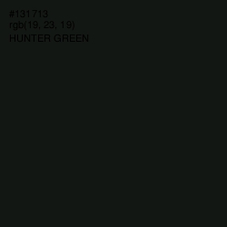 #131713 - Hunter Green Color Image